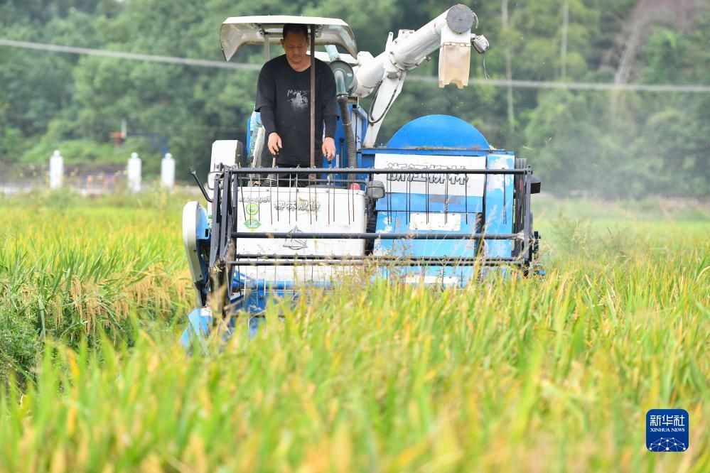 永利银河登录